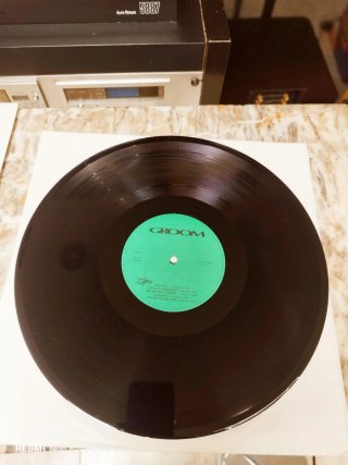 Vinilo Groom - En Busca de Color y Movimiento