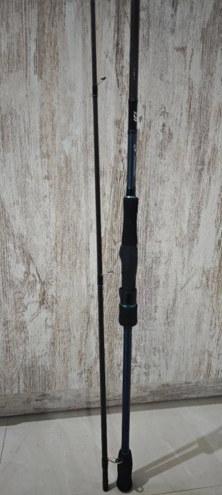 Caña Eging Daiwa Emeraldas S 99LML