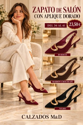Zapatos de Salón Negros con Aplique Dorado