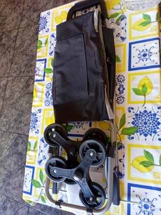 Carro de la compra plegable con ruedas