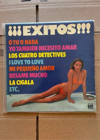 Vinilo Exitos 1976 Gramusic