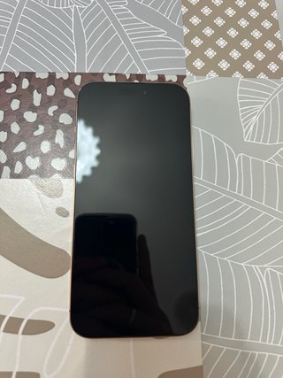 iPhone 16 Pro Max Oro batería 97%