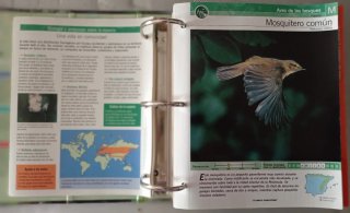 Aves de la península ibérica
