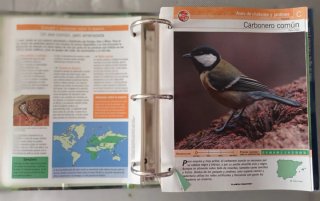 Aves de la península ibérica