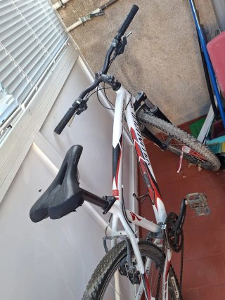 Bicicleta de Montaña Specialized