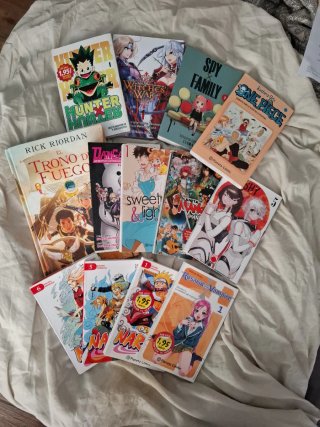 Lote de 27 de Mangas variados