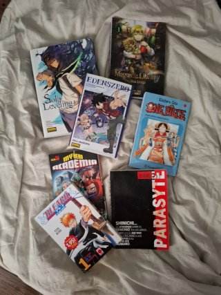 Lote de 27 de Mangas variados