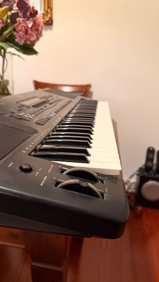 Teclado Technics SX-KN1200
