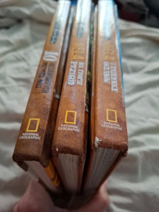 Pack 3 Libros: "Nela mała reporterka" en POLACO
