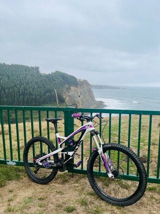 Bici Enduro Yt Capra carbono