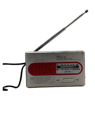 Radio DV Tech AM/FM Gris