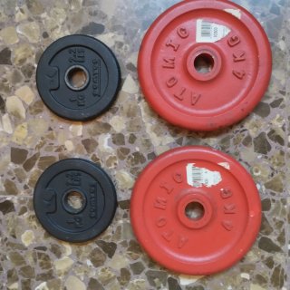 Lote de 2 Mancuernas 10kg y Barra de Tracción