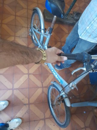 Bicicleta Plegable Plateada
