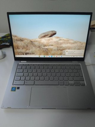Chromebook Asus Plata