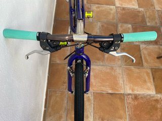 Bicicleta Alpinestars Al mega DX