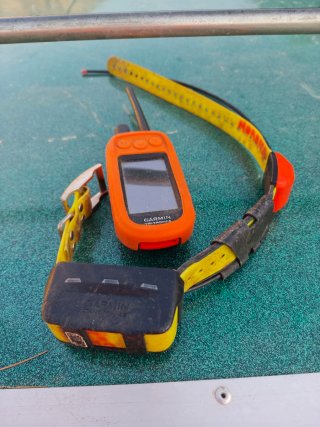 Garmin Alpha 100 y Collar T5X