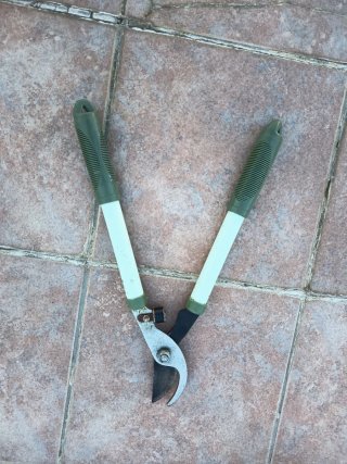 Forbici da potatura per giardino