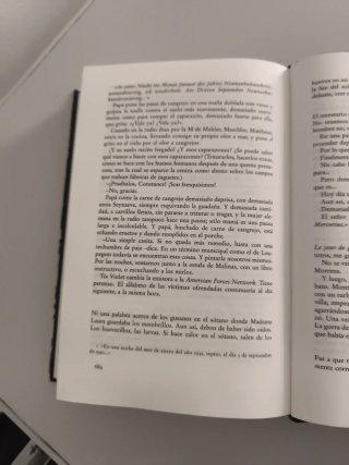 La pena de Bélgica. Hugo Claus.