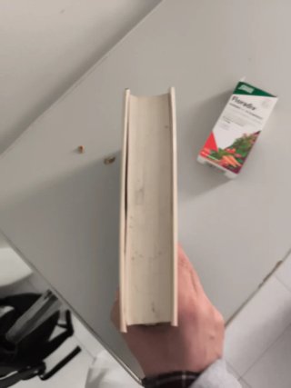El médico. Noah Gordon
