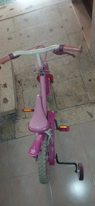 Bicicleta Infantil Rosa con Ruedines