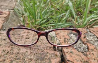 Montura de Gafas Carrera