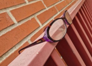 Montura de Gafas Carrera