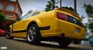 Ford Mustang 2005