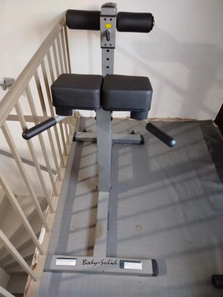 Banco de lumbares Body-Solid