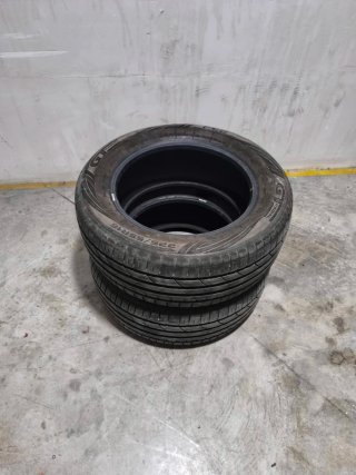 2 Neumáticos 225/55/R16  GT - Radial FE2 99W