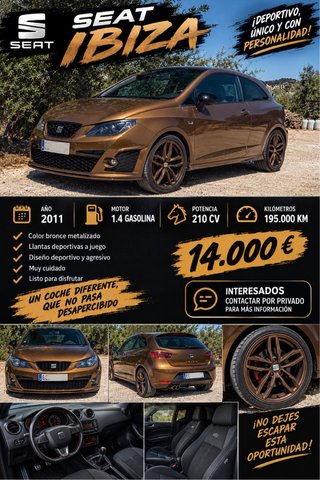 SEAT Ibiza 2011