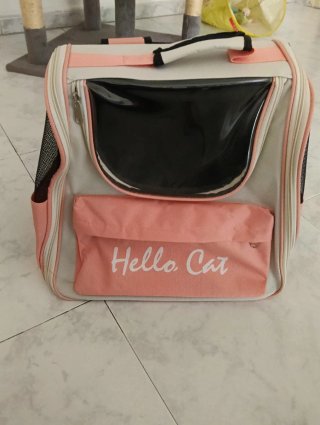 Transportínes para Gatos con un solo uso