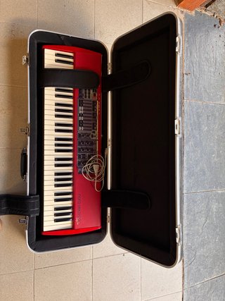 Nord Electro 2 con funda y soporte