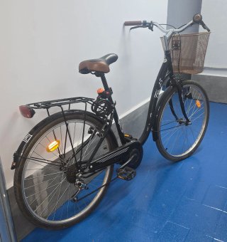 Bicicleta Paseo
