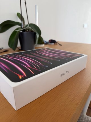 iPad Pro 12.9 (6ª generación) Gris Espacial