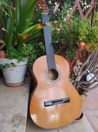 Guitarra Española Clásica