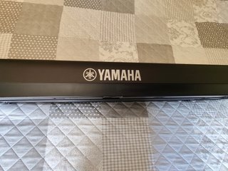 Teclado Yamaha Piaggero NP-35