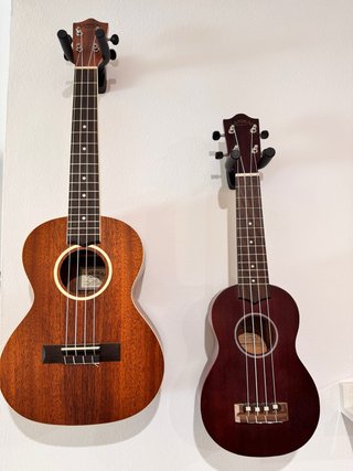 Pack 2 Ukeleles Lanikai