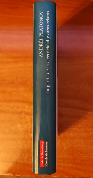 La patria de la electricidad NUEVO Andrei Platonov