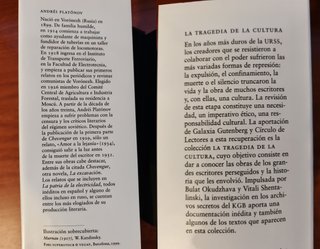 La patria de la electricidad NUEVO Andrei Platonov