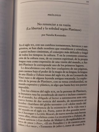 La patria de la electricidad NUEVO Andrei Platonov