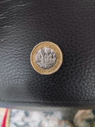Moneda de una libra esterlina