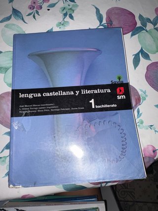 Lengua castellana y literatura, 1 Bachillerato