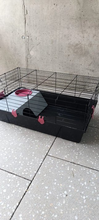 Jaula para conejo