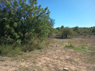 Particular vende parcela