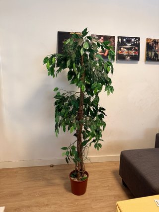Planta artificial alta