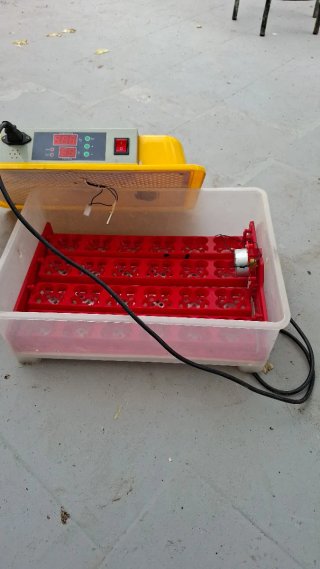 Incubadora de huevos automática