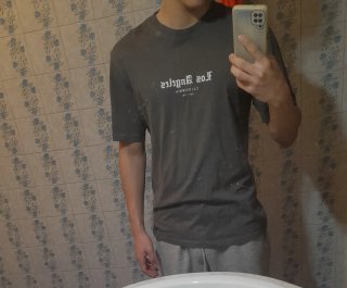 Camiseta Gris Los Angeles
