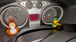 Ford C-MAX 2008
