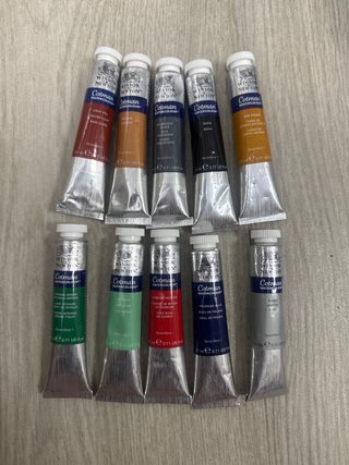 Set de 10 Acuarelas Winsor & Newton Cotman