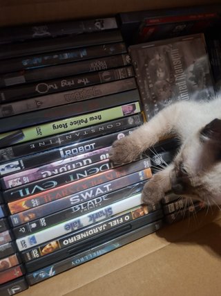 Lote Filmes DVD